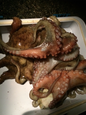 仕事終わりのタコ