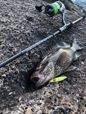 マイクロジグで朝一だけ