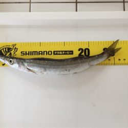 ラッキーパンチ