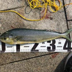 自己ベスト更新