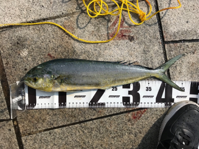 自己ベスト更新