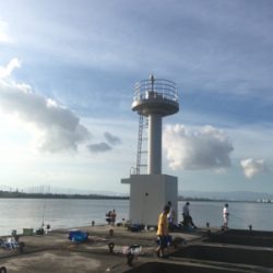 久しぶりのサビキ釣り