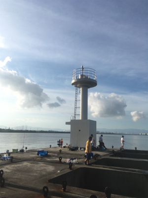 久しぶりのサビキ釣り