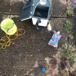 貝塚でサビキからの田尻の釣堀。