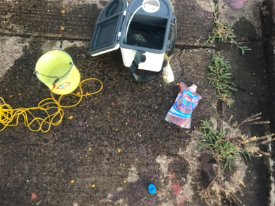 貝塚でサビキからの田尻の釣堀。