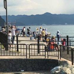 子供たちのサビキ釣り