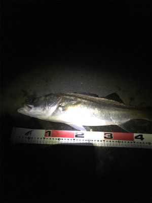 厳しい中でも…