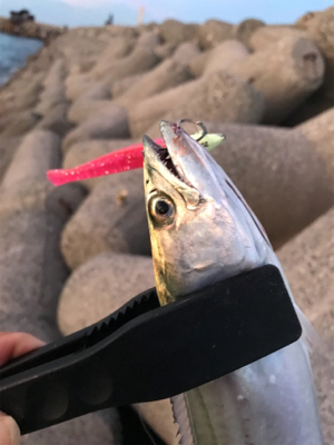 何でこうなるの？（笑）