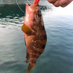 オヤジ達の釣り旅行3日目