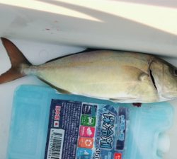 ライトショアとワインド