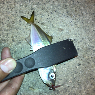 ナイトアジング