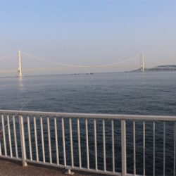 イカ釣りからのサバ釣り