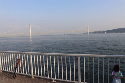 イカ釣りからのサバ釣り