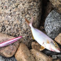 トップゲーム❷