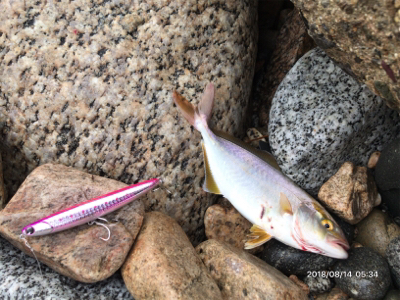 トップゲーム❷