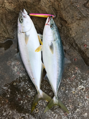 もう終わりにしよかな…