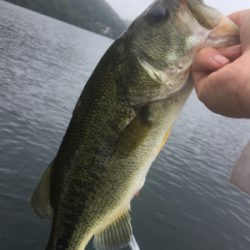 ８月１２日の榛名湖バス釣り！