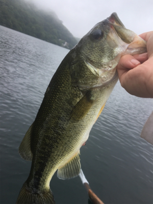８月１２日の榛名湖バス釣り！