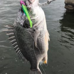 ストラクチャー頼み