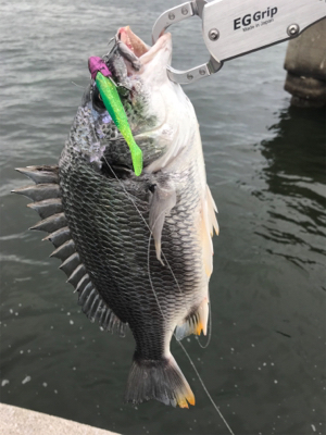 ストラクチャー頼み