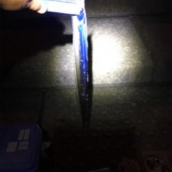 シオ回ってます