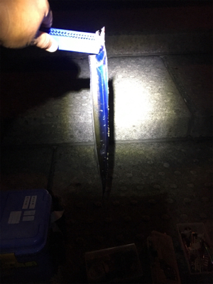 シオ回ってます