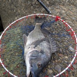 魚の活性が高い！