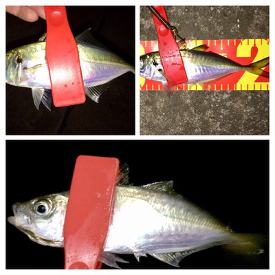 哀しみのレクチャーアジング