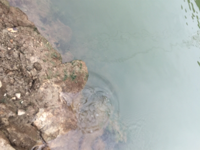 かっとんできた！