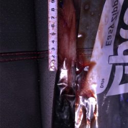 某釣り具屋情報と違い、かなり渋かった(＞＜)