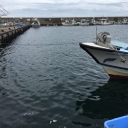 またまたアジング(1時間)