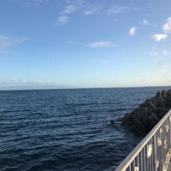 タチウオの顔見に行こうと