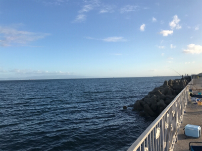 タチウオの顔見に行こうと