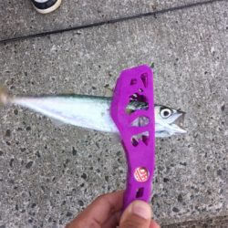 ファミリーでULSJ