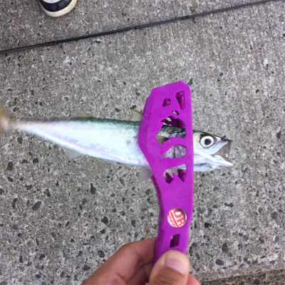 ファミリーでULSJ