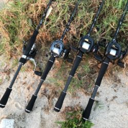 朝マズメトップ