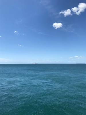 激渋の長期戦の末