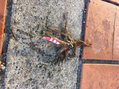 オクトパッシング