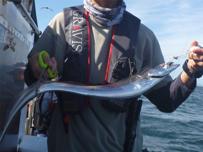 船タチウオ釣行