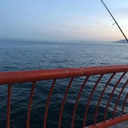 朝からショアジョギング