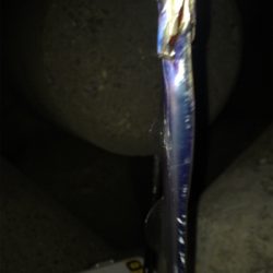 一応釣れたけど、、