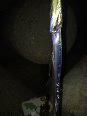 一応釣れたけど、、