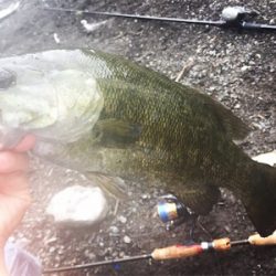 連休最終日に記録更新♪