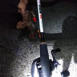 ショアジギングでアコウ