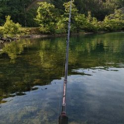 デスアダーでなんとか一匹