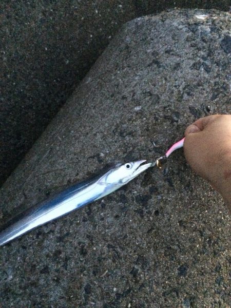 メタルマルで大サバ