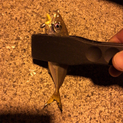 ナイトアジング3