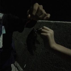 サビキ釣りで小アジ大漁