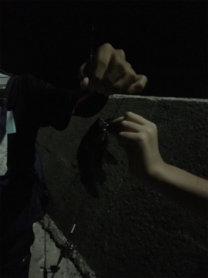 サビキ釣りで小アジ大漁