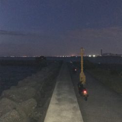 太刀魚にチャレンジ！